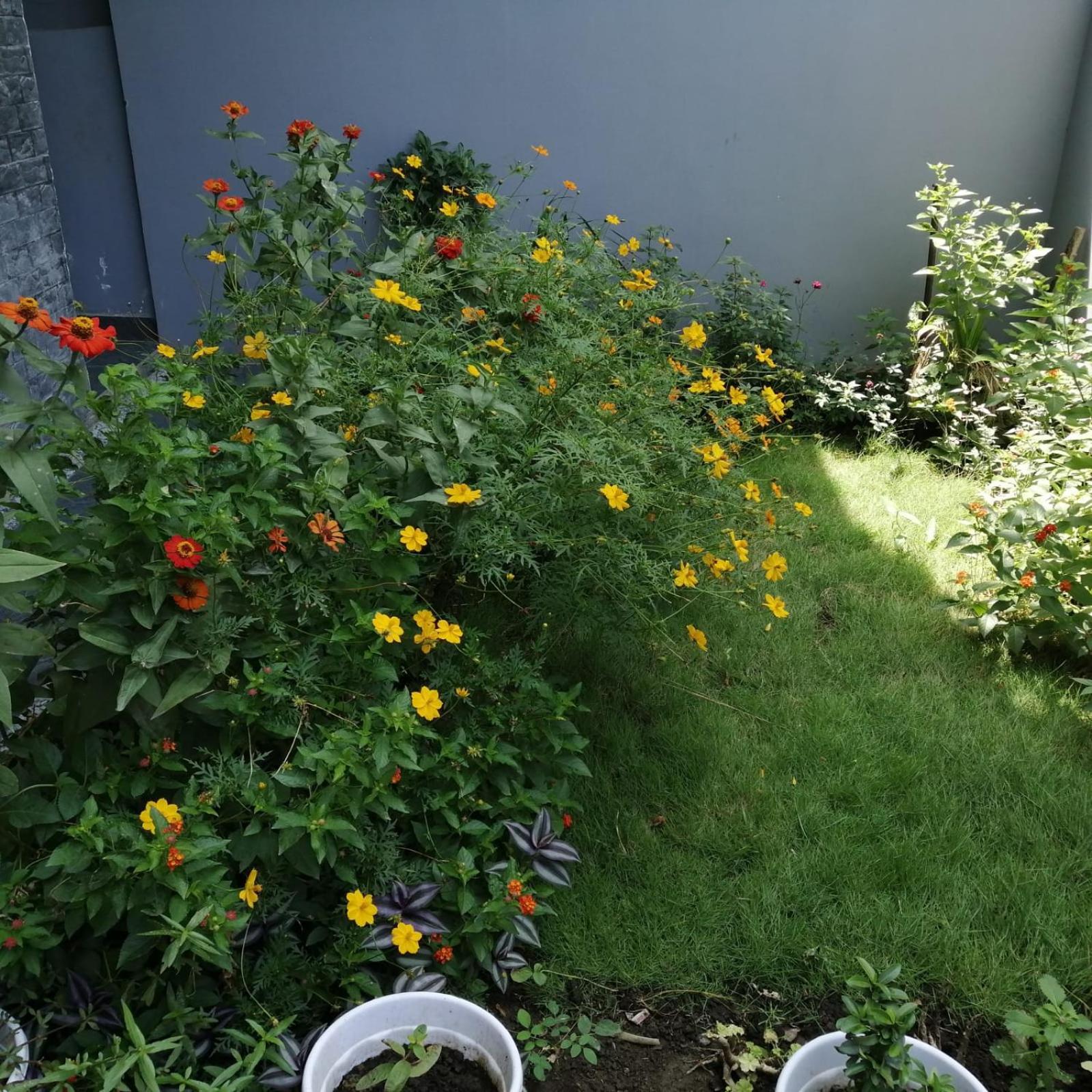Aashiyana Home Stay Bhopál Kültér fotó